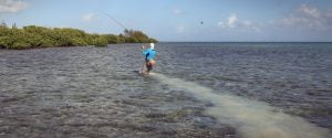 Chasing Down a Grand Cayman Bonefish on the Flats