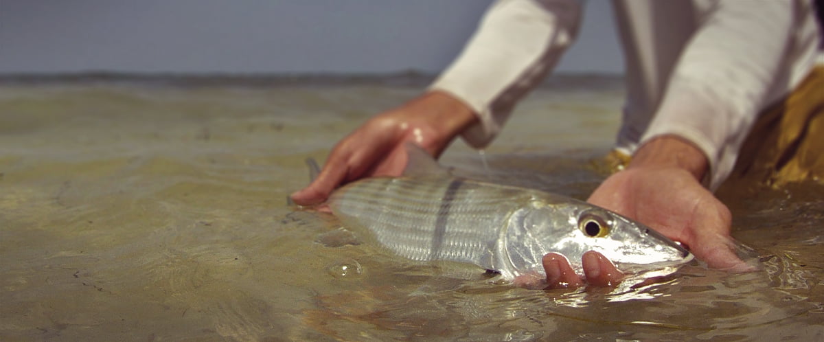 Bonefish Release Technique