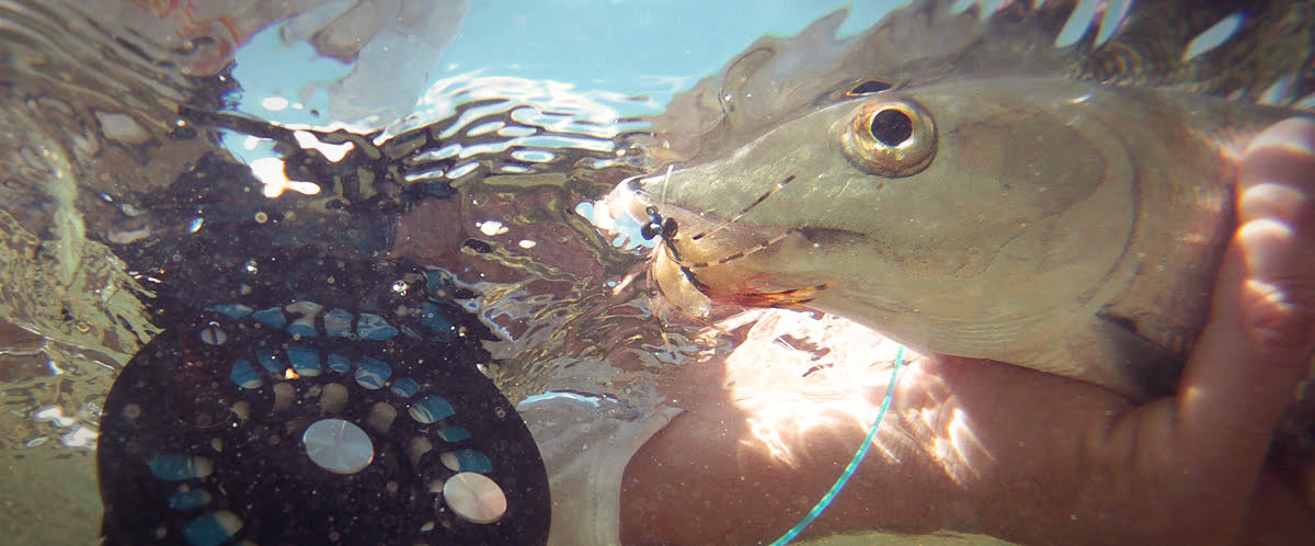 Choosing Bonefish Flies