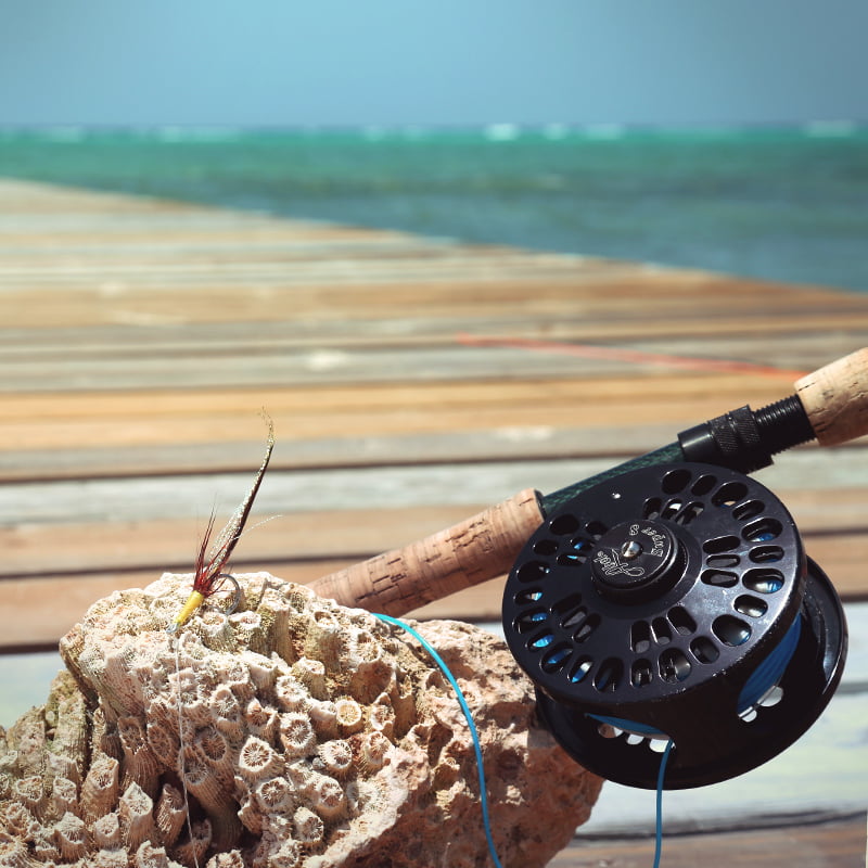 Grand Cayman Fly Fishing Tackle Guide - Gear & Clothing