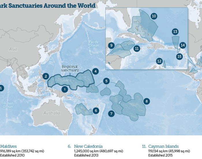 Shark Sanctuary Map