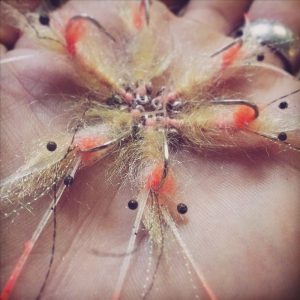Strip Tease Bonefish Fly