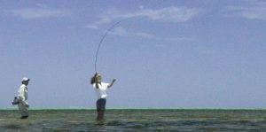 Trout set on a bonefish.